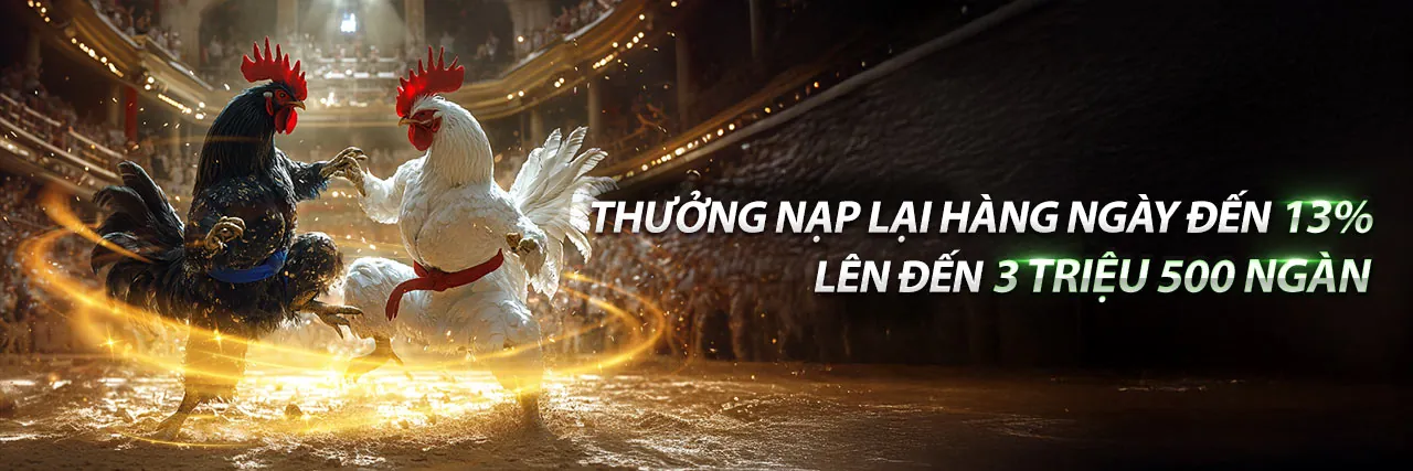 Đá Gà Trực Tiếp Thomo Hôm Nay - Sân đấu gà Thomo